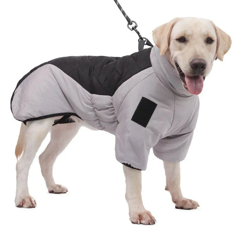 Wasserfester Hundemantel für kalte Tage