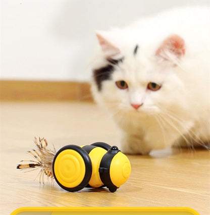Elektrisches Ferngesteuertes Katzenspielzeug