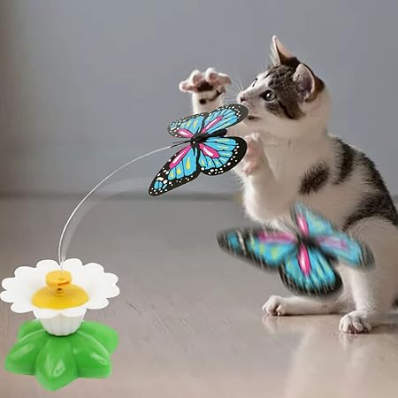 Katzen Schmetterlings Spielzeug