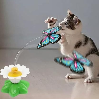 Katzen Schmetterlings Spielzeug