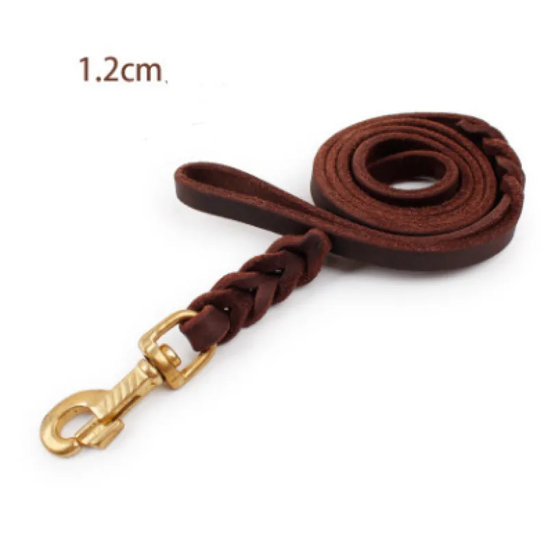 Leder Hundeleine mit Goldener Karabiner – Robustes und Elegantes Hundezubehör