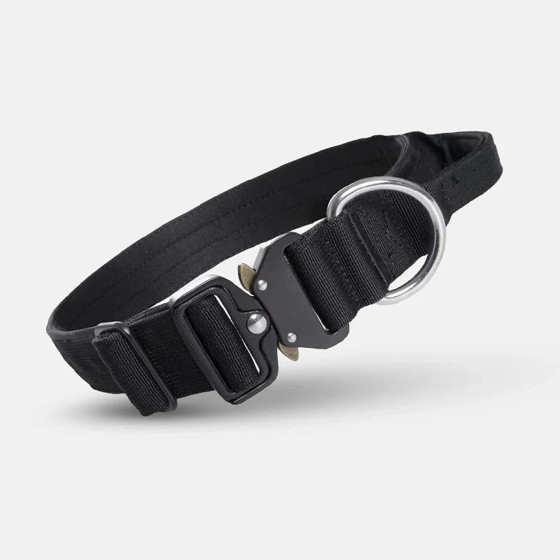 Hundehalsband mit Handgriff für optimale Führung