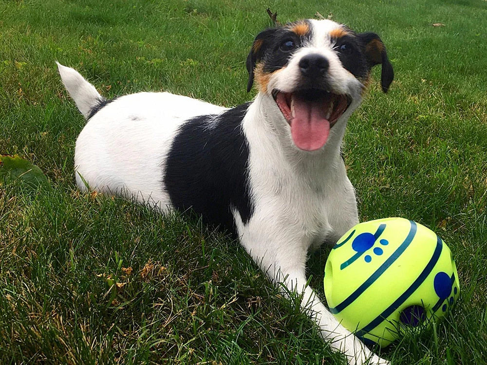 Interaktiver Futterball Für Hunde Mit Spielerischem Design