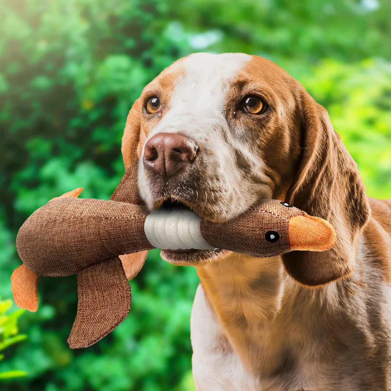 Strapazierfähiges Hundespielzeug – Doppelpack Aktion