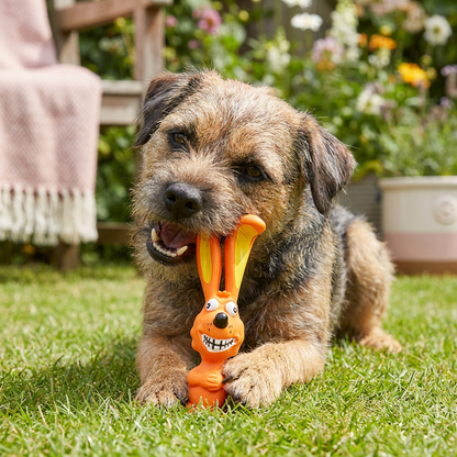 Robustes Hundekauspielzeug aus Naturlatex zur Zahnreinigung