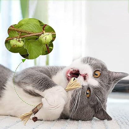Zahnreinigungsstäbchen für Katzen