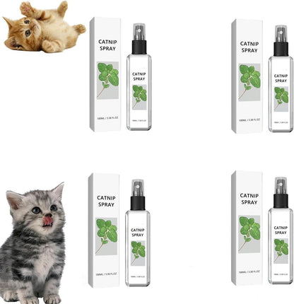Silberwein Catnip Duftspray