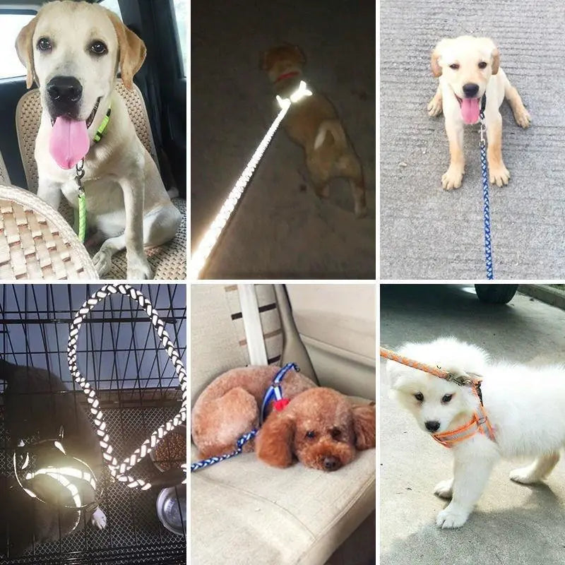 Reflektierendes Hundegeschirr mit Leine – Sicheres Set für Spaziergänge Bei Dunkelheit