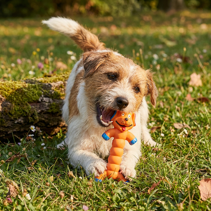 Robustes Hundekauspielzeug aus Naturlatex zur Zahnreinigung