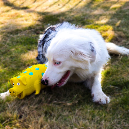 Schnuffel-Schwein – Robustes Quietschspielzeug