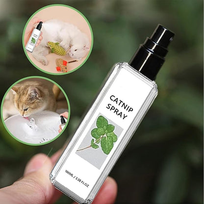 Silberwein Catnip Duftspray