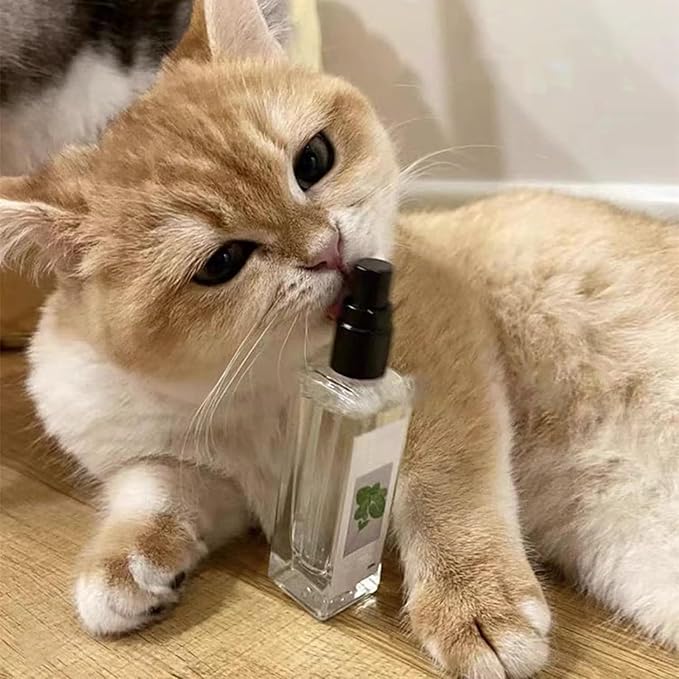 Silberwein Catnip Duftspray