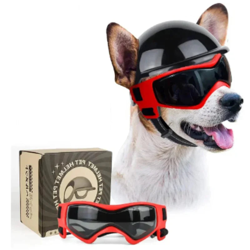 Sicherheitshelm Für Hunde Mit Getönter Brille