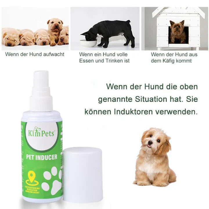 Anleitung Zur Gezielten Platzierung Der Haustiertoilette