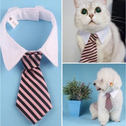 Eleganter Haustier-Kragen mit Krawatte für Hunde und Katzen