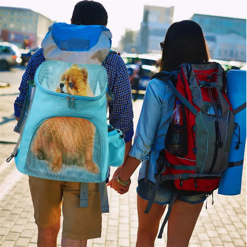 Haustier-Trage-Rucksack mit Netzdesign – Bequeme Transporttasche für Katzen und kleine Hunde
