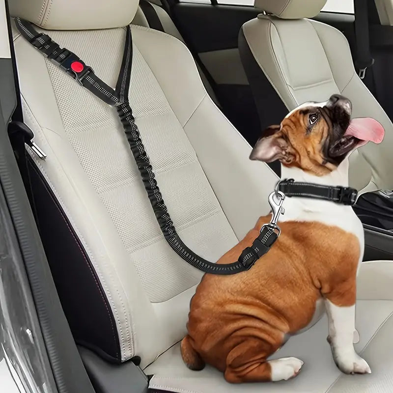 Auto-Sicherheitsgurt für Hunde