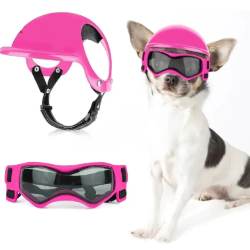 Sicherheitshelm Für Hunde Mit Getönter Brille