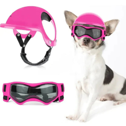 Sicherheitshelm Für Hunde Mit Getönter Brille