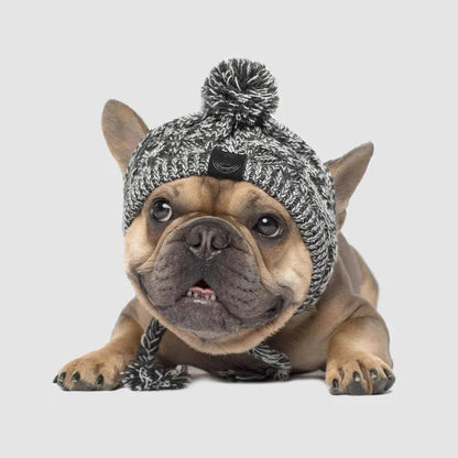 Stylische Hundemütze mit Bommel – Warme Wintermütze für Kleine Hunde