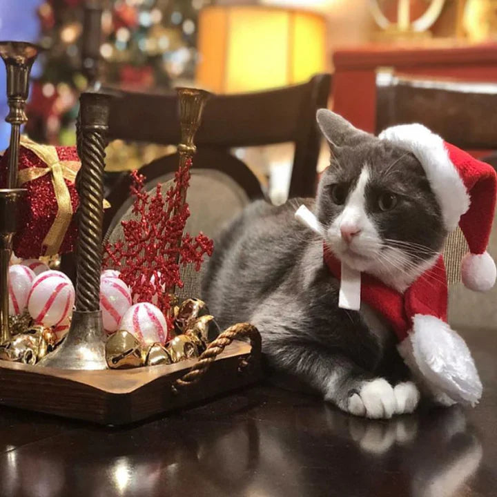 Weihnachtsmütze Mit Schal Für Haustiere