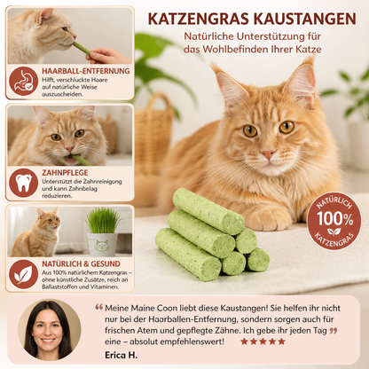 Katzengras Kaustangen zur Haarball Entfernung und Zahnpflege