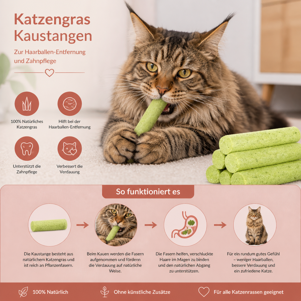 Katzengras Kaustangen zur Haarball Entfernung und Zahnpflege
