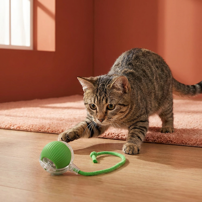 Interaktive Spielball mit Schwanz für Katzen