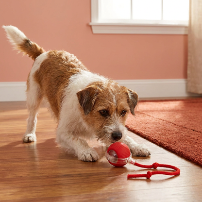 Interaktive Spielball mit Schwanz für Hunde