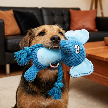 Plüsch-Hundespielzeug mit Baumwollseil - Quietscher & Zahnpflege