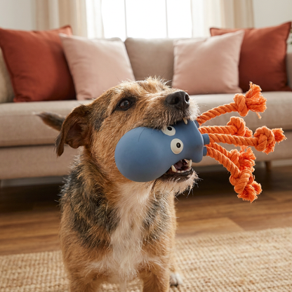 Robustes schwimmfähiges Hundespielzeug aus Dental-Latex mit Seil