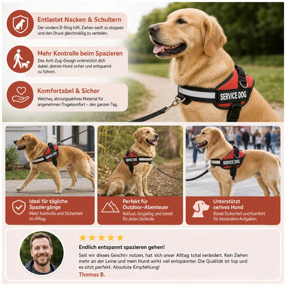 Personalisiertes Anti-Zug-Hundegeschirr mit vorderem D-Ring – zur Entlastung von Nacken und Schultern entwickelt