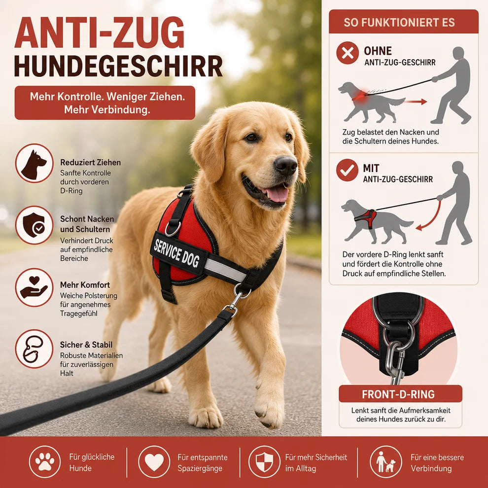 Personalisiertes Anti-Zug-Hundegeschirr mit vorderem D-Ring – zur Entlastung von Nacken und Schultern entwickelt