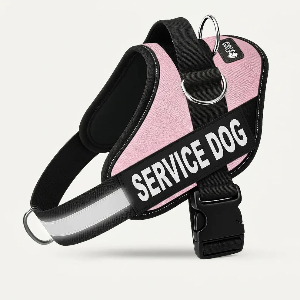 Personalisiertes Anti-Zug-Hundegeschirr mit vorderem D-Ring – zur Entlastung von Nacken und Schultern entwickelt