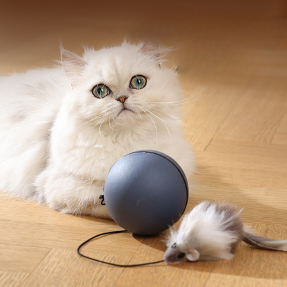 Katzen Spielball Mit Schwanz – Interaktives Jagdspielzeug