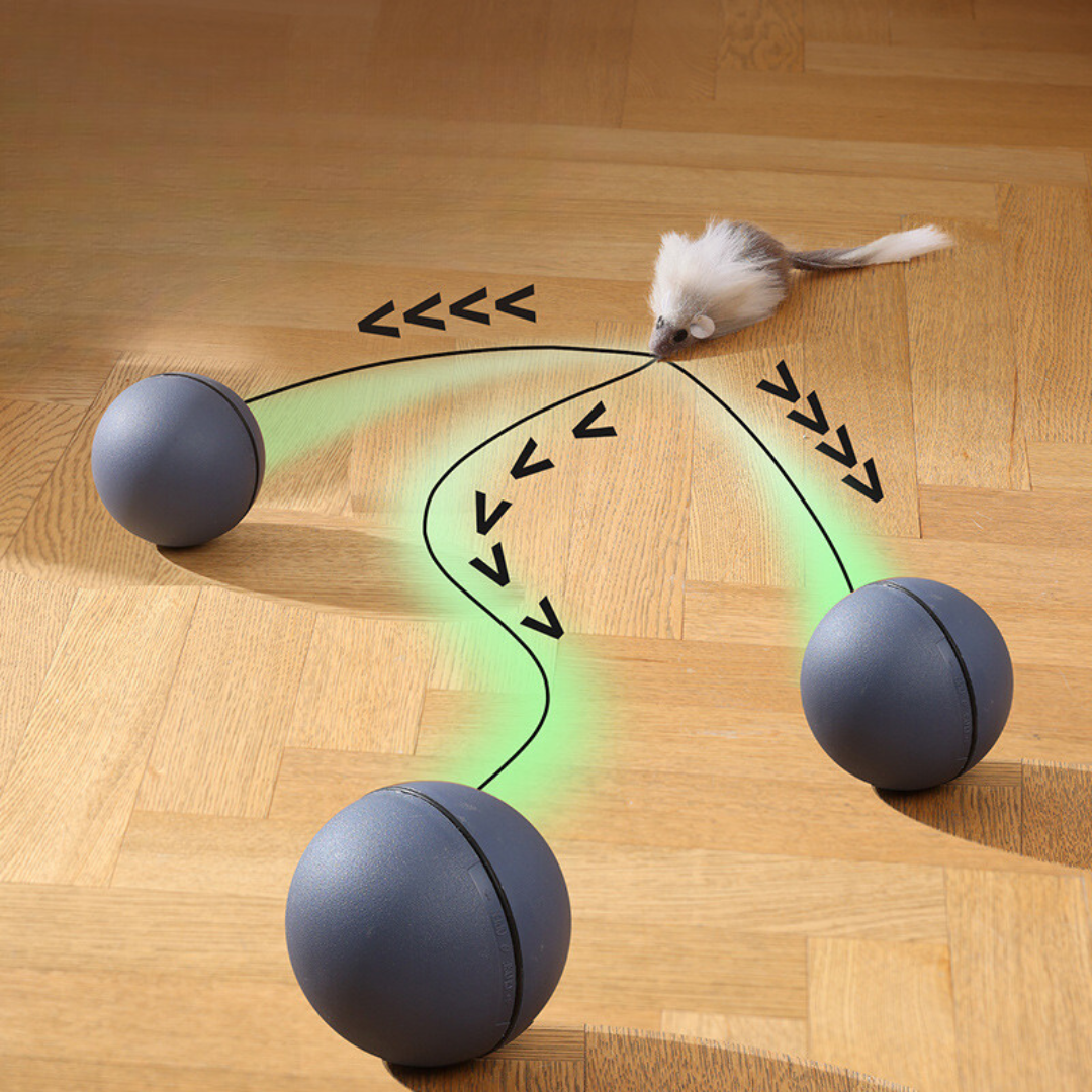 Katzen Spielball Mit Schwanz – Interaktives Jagdspielzeug