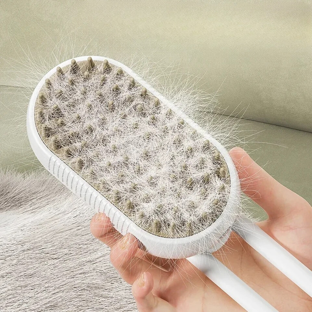 Dampfbürste Master 2.0