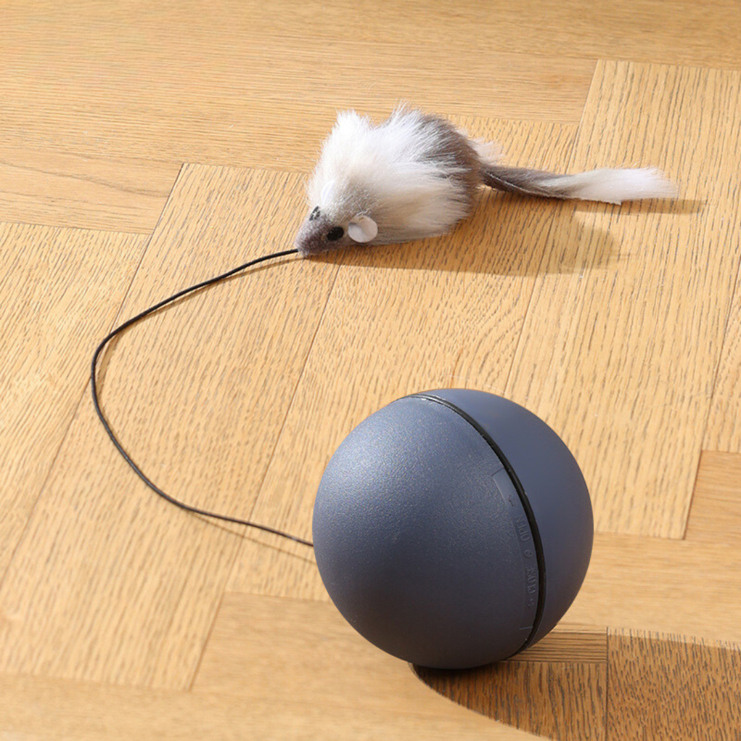 Katzen Spielball Mit Schwanz – Interaktives Jagdspielzeug