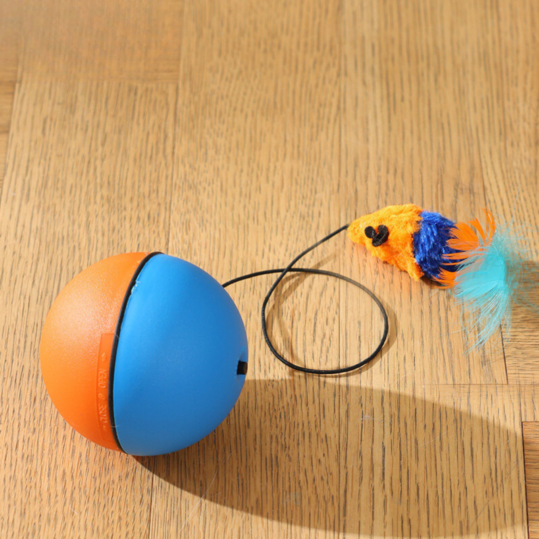 Katzen Spielball Mit Schwanz – Interaktives Jagdspielzeug