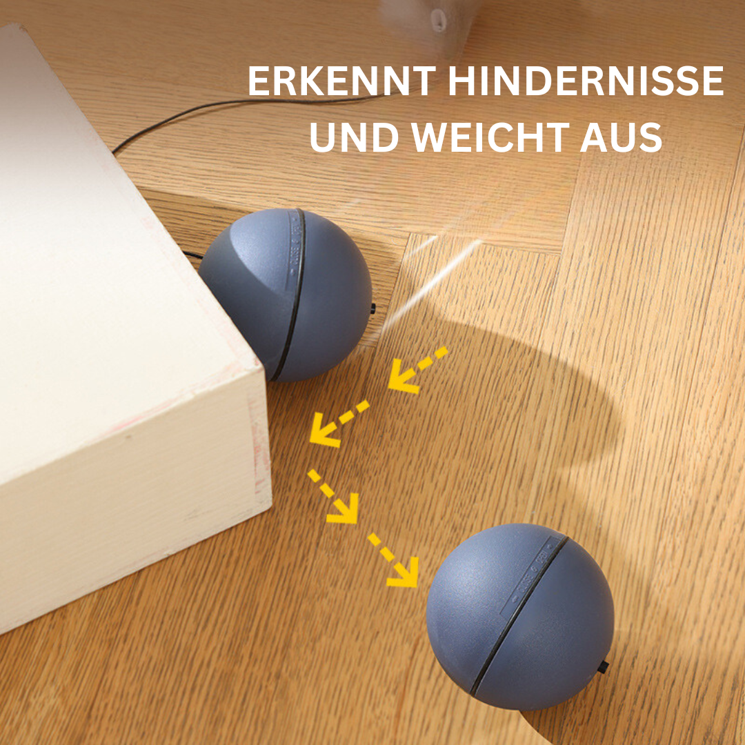 Katzen Spielball Mit Schwanz – Interaktives Jagdspielzeug