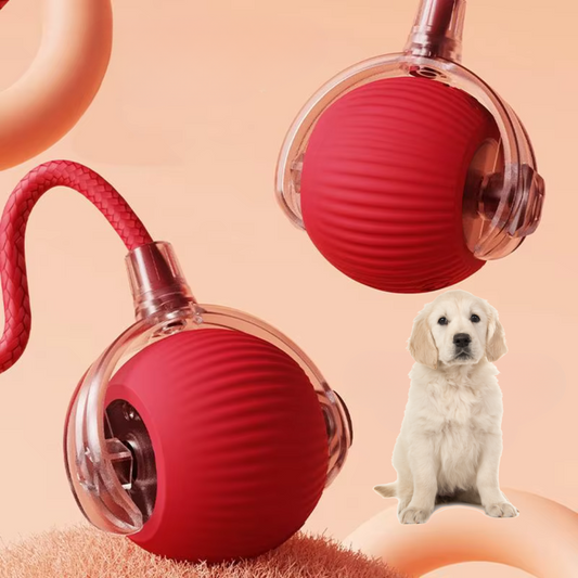 Interaktiver Wackelschwanz-Spielball für Hunde