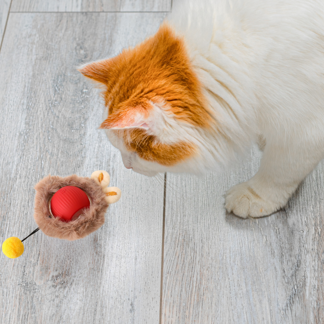 Katzen-spielzeugball Mit Weichem Fell