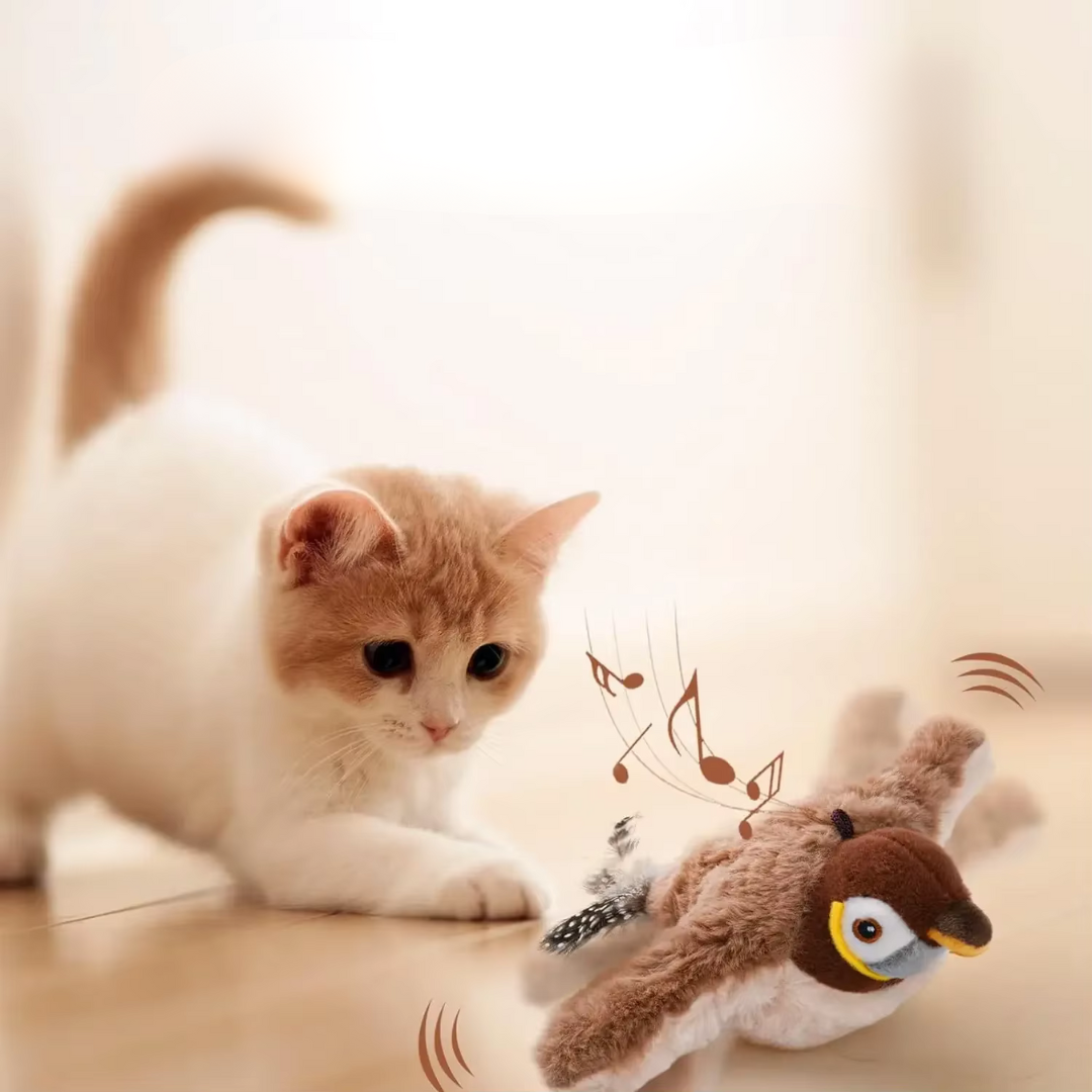 Fliegender Vogel Katzenspielzeug
