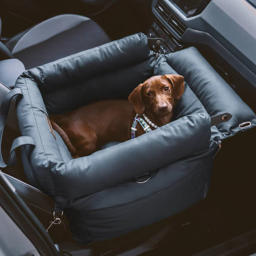 Komfortabler Hundesitz Für Das Auto