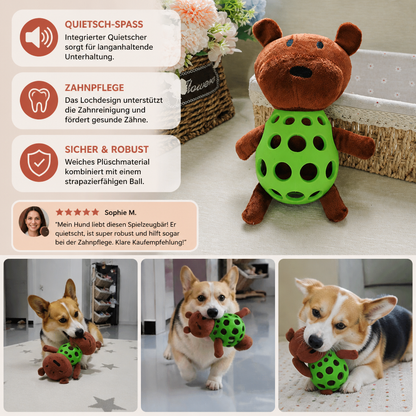 2-in-1-Bären-Hundespielzeug – Quietschendes Plüschtier & Zahnpflege-Kauspielball