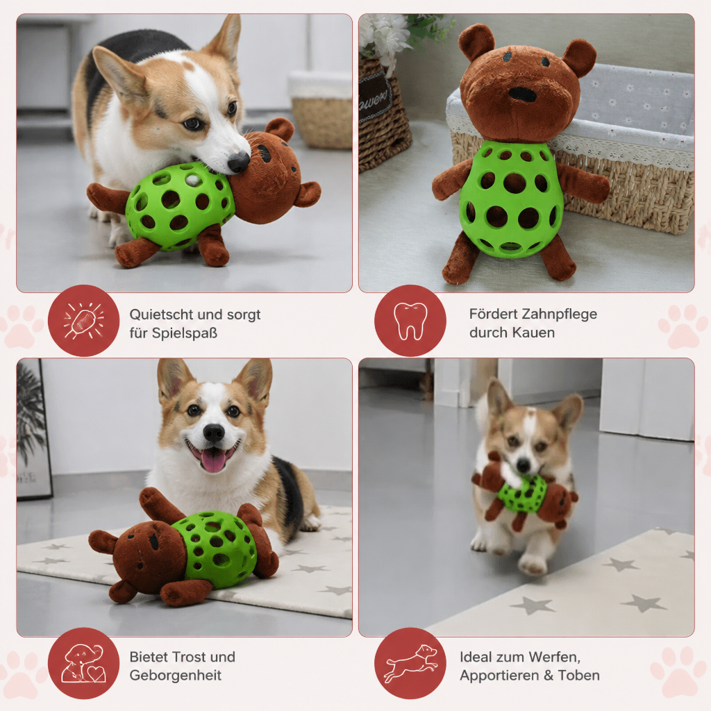 2-in-1-Bären-Hundespielzeug – Quietschendes Plüschtier & Zahnpflege-Kauspielball