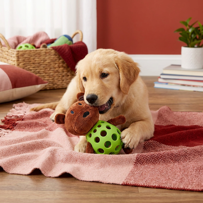 2-in-1-Bären-Hundespielzeug – Quietschendes Plüschtier & Zahnpflege-Kauspielball