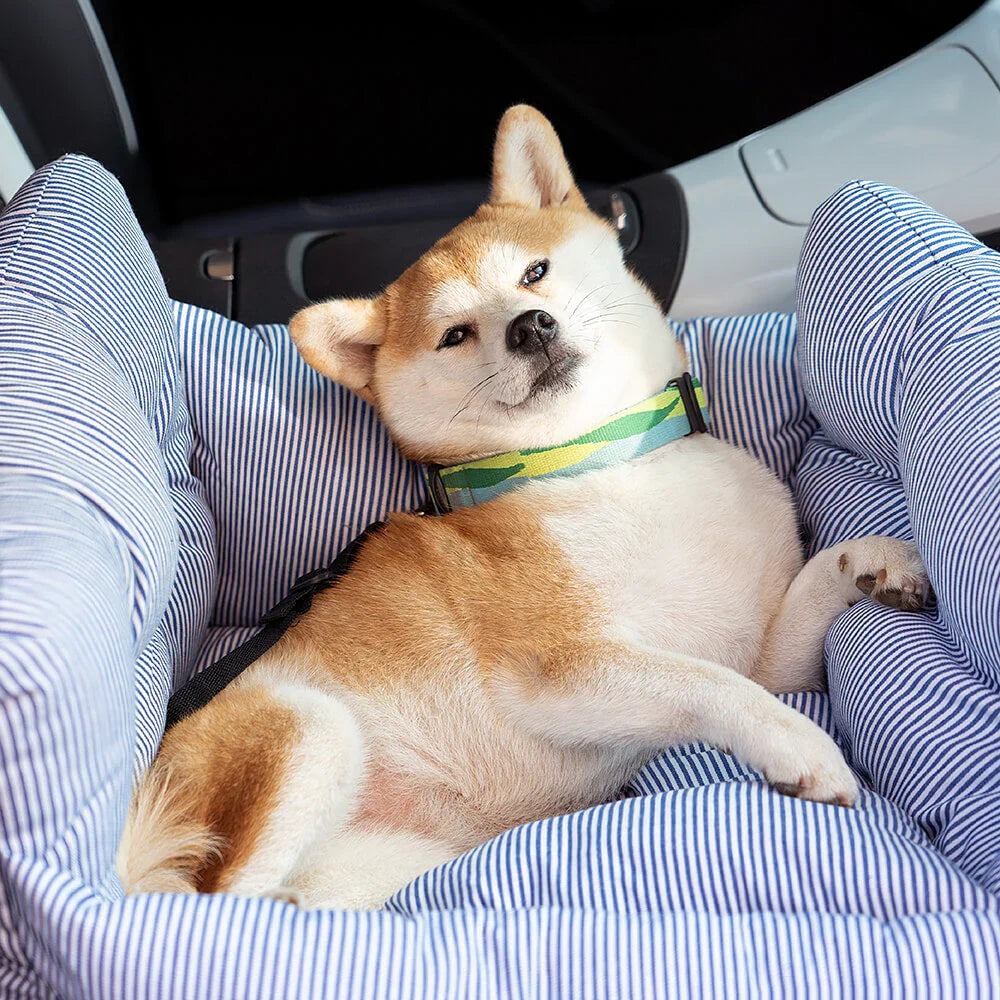 Reise-Hundebett mit hoher Seitenstütze