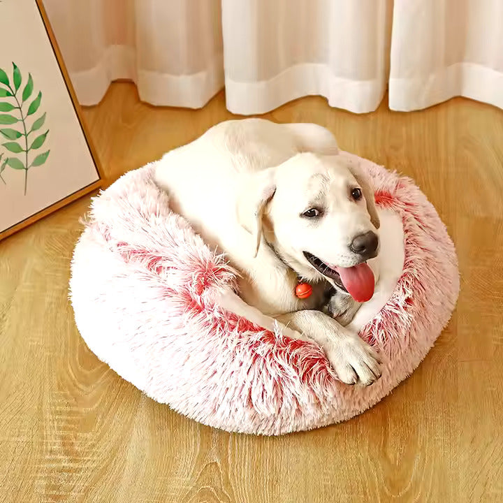 2in1 Hunde Schlafhöhle & Kuschelbett