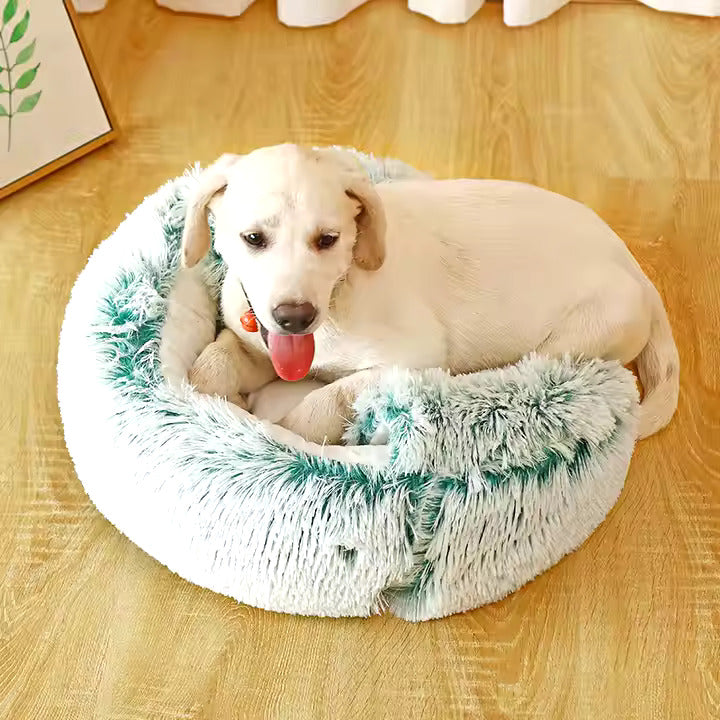 2in1 Hunde Schlafhöhle & Kuschelbett